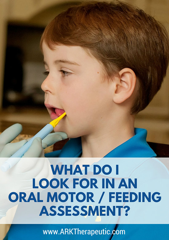 What Do I Look for in an Oral Motor / Feeding Assessment? What Do I Look for in an Oral Motor / Feeding Assessment?